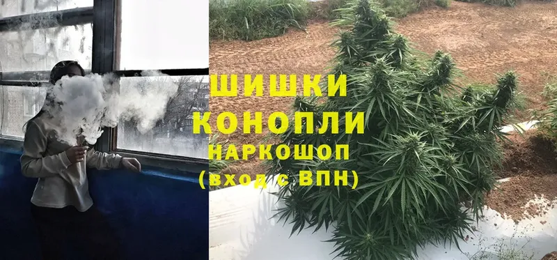 купить наркотик  Красный Холм  Конопля Ganja 